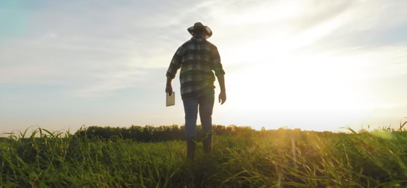 VSH Partners Hero Vídeo